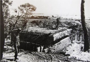 Fortifications